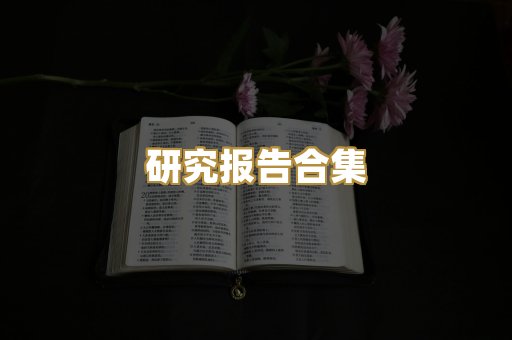 研究报告合集